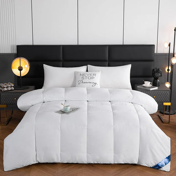 Lightweight Fluffy Comforter for Queen and King Beds